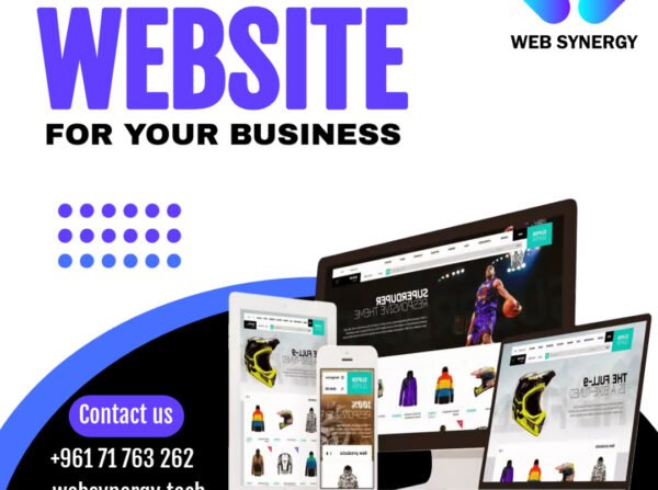 Web Synergy Website